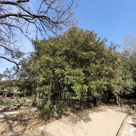 Bed & Breakfast Mas De Coulet Brissac